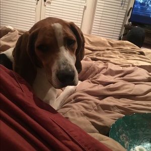 Meet your Posher, Sherry